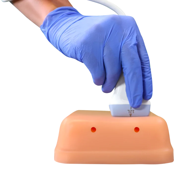 Hm2.0 Re-Moldable 2 Vessel Ultrasound Training Model