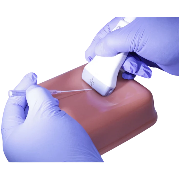 Orientation Ultrasound Phantom Trainer