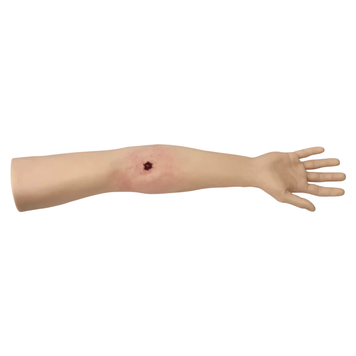 HM - Tourniquet Arm Trainer - Image 9
