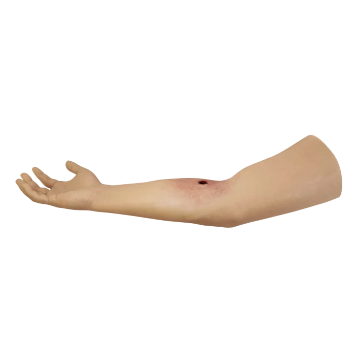 HM - Tourniquet Arm Trainer - Image 8