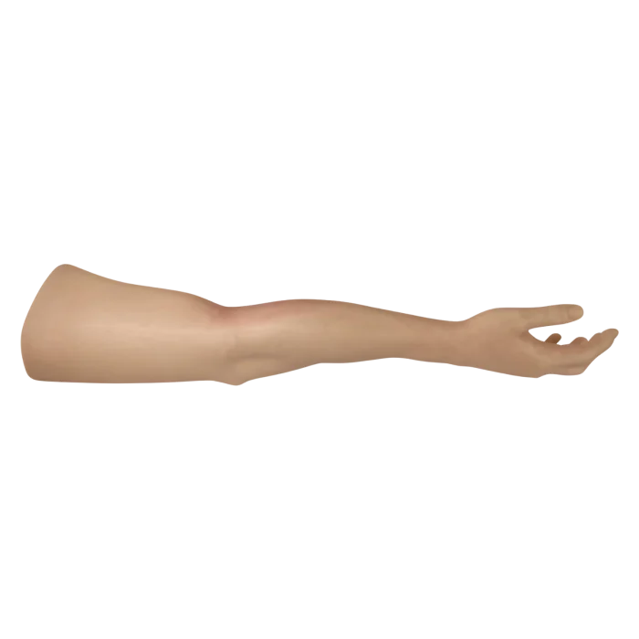 HM - Tourniquet Arm Trainer - Image 6
