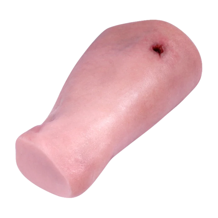 HM - Tourniquet & Wound Packing Leg Trainer LP - Image 5