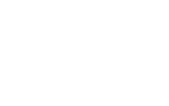 BD (Becton Dickinson)