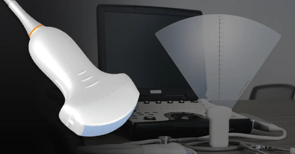 Curvilinear ultrasound transducer with ultrasound machine showing fan-shaped imaging display